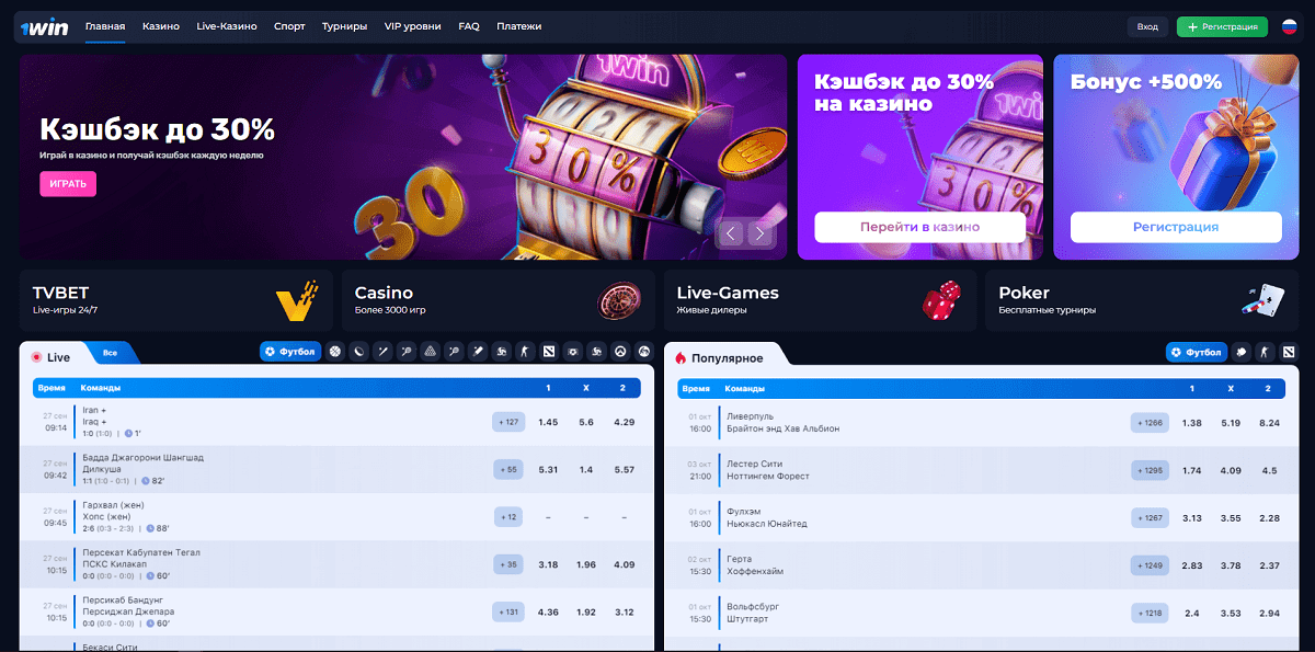 منتجنا الجديد هو قالب 1WIN.