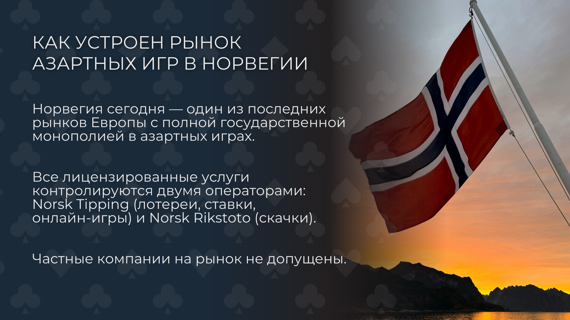 Инфографика о структуре текущего рынка азартных игр в Норвегии.