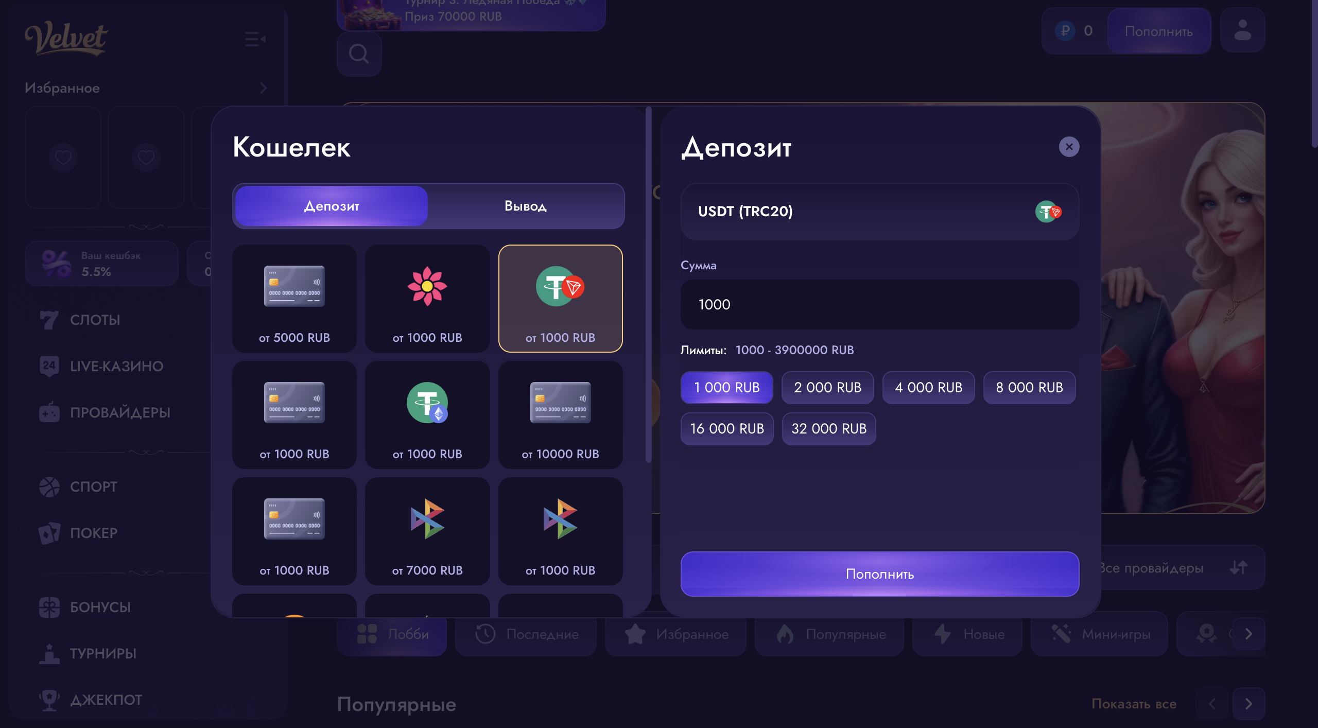 طرق الدفع في كازينو Velvet الجاهز للتشغيل